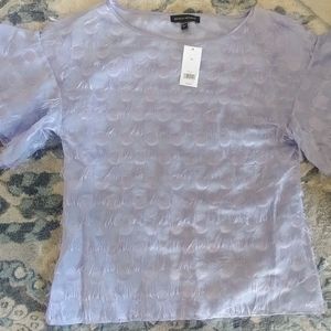 Banana Republic Sheer Blouse